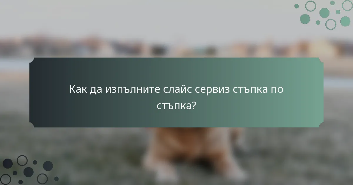 Как да изпълните слайс сервиз стъпка по стъпка?